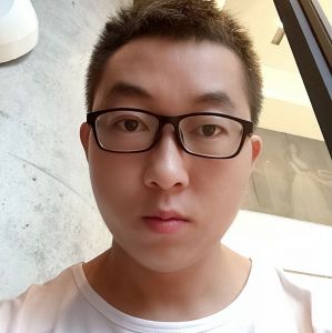 杨引