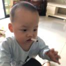 陶加军