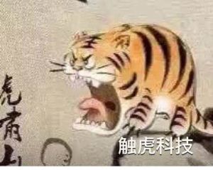 廖华华