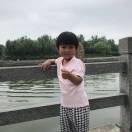 郑洋