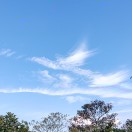 龙乡浪子