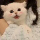 啊别?13690906378