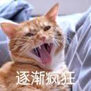 渔舟唱晚o