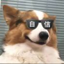 常天阳