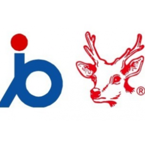 邓邓