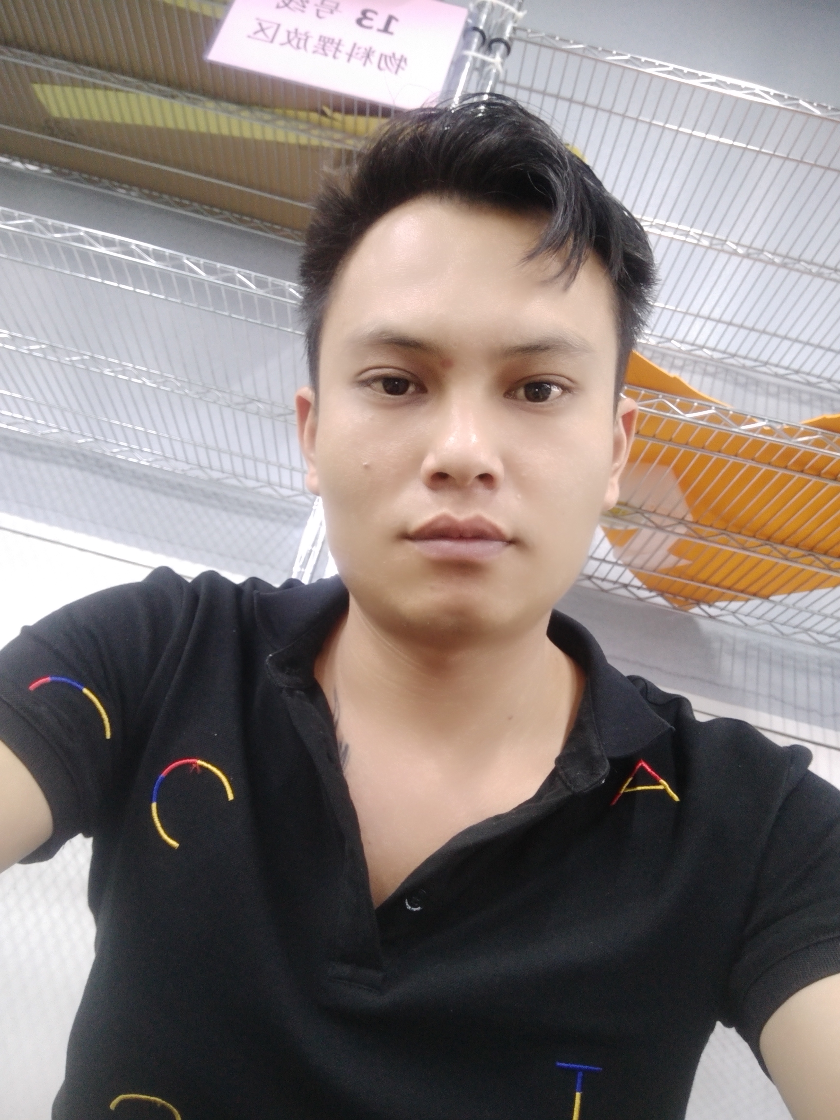 龙振鹏