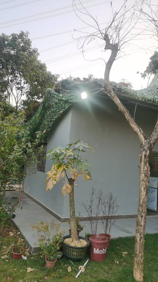 欧阳