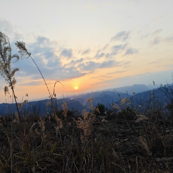 田卫军