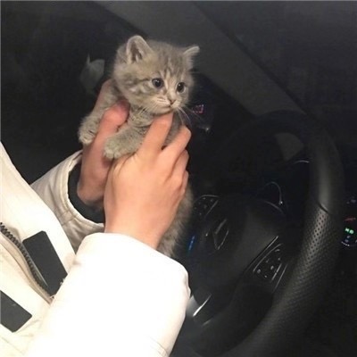 胡安乐