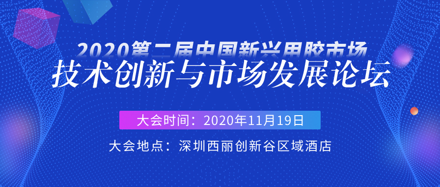 2020第二届中国新兴用胶市场技术创新与市场发展论坛